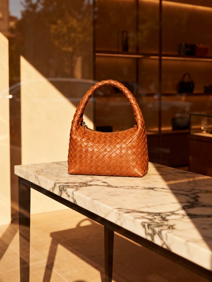 Картинка для карты желаний: Сумка мечты · Bottega Veneta
